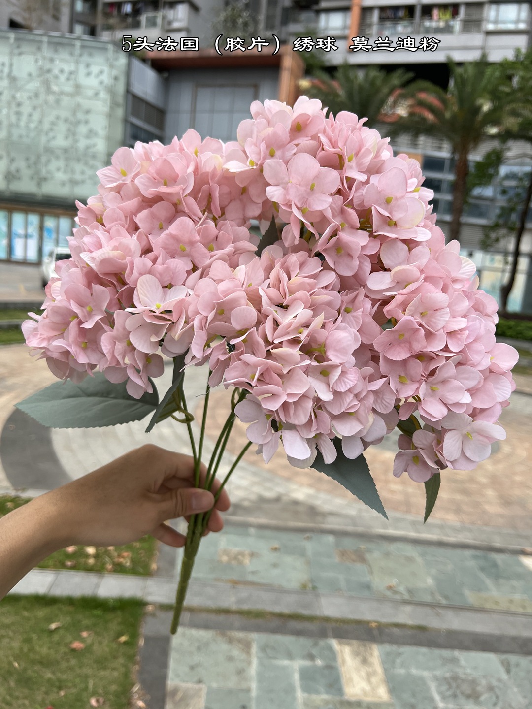 Wedding Decor Rose Dusty Pink  - Baby Rice Food 评论和价格